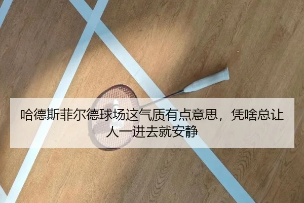 ha-de-si-fei-er-de-qiu-chang-zhe-qi-zhi-you-dian-yi-si-ping-sha-zong-rang-ren-yi-jin-qu-jiu-an-jing-2-641.jpg