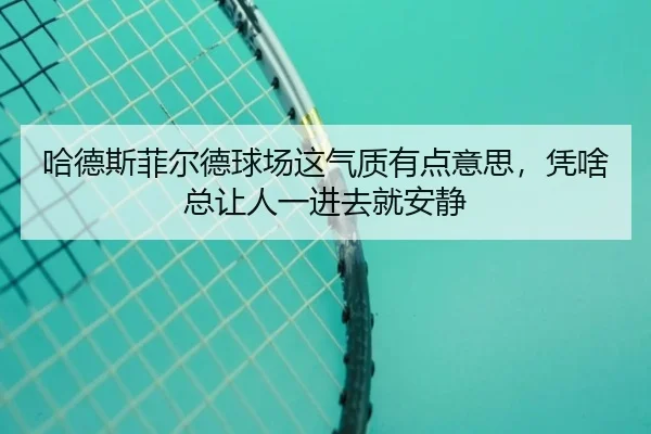 ha-de-si-fei-er-de-qiu-chang-zhe-qi-zhi-you-dian-yi-si-ping-sha-zong-rang-ren-yi-jin-qu-jiu-an-jing-1-845.jpg